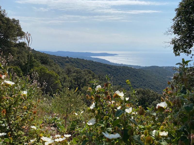 Les Crêtes VTT