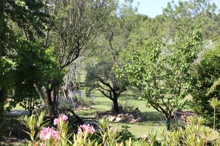 Au Mas de Laurisa, Rognes - photo 6