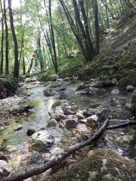 Balade contée : les rencontres sauvages de la rivière_Bénonces
