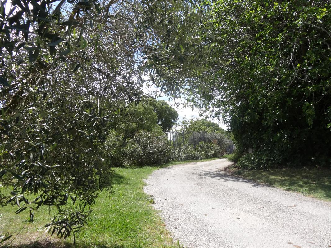 Les Oliviers, Vernègues - photo 13