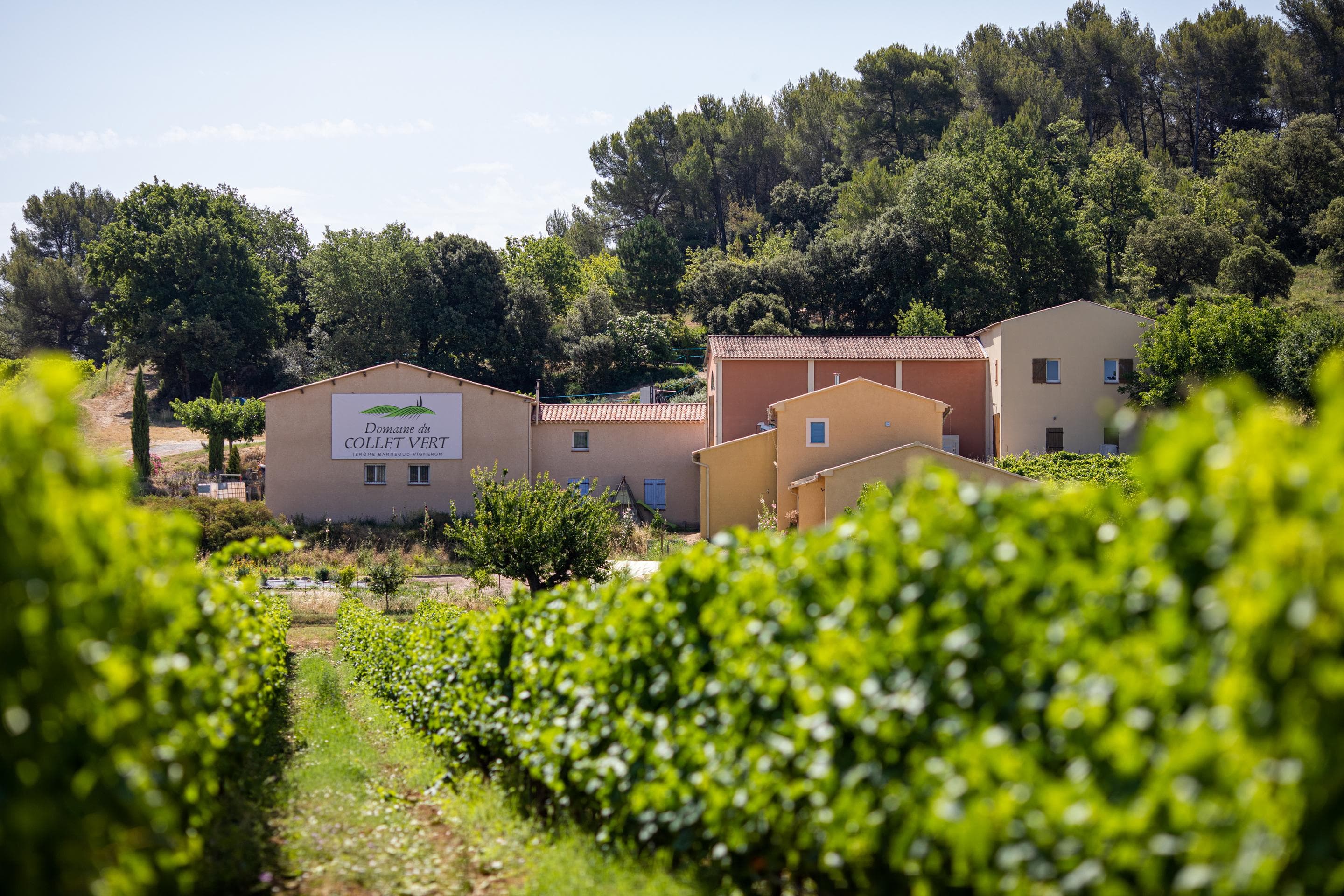 Domaine du Collet Vert - photo 5