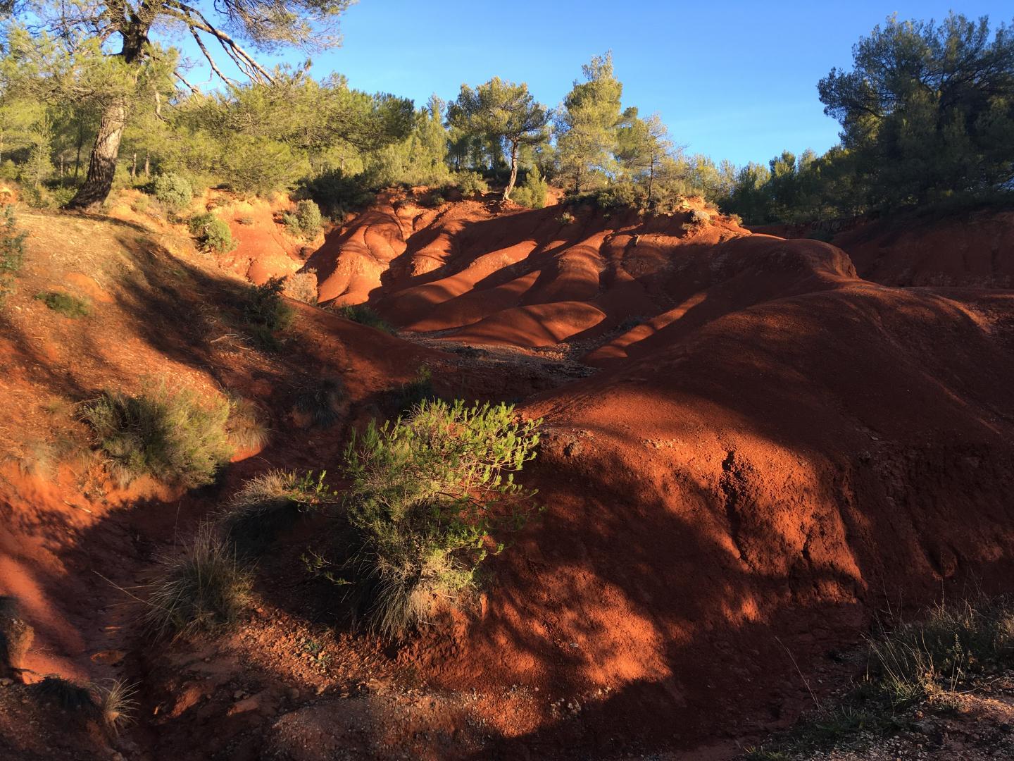 Figuier, Jouques - photo 50