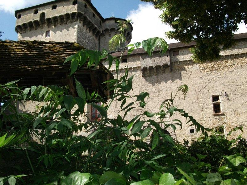 Château de Serrières - Trept - Balcons du Dauphiné