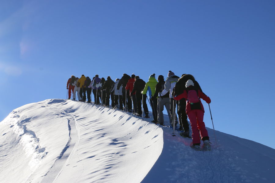 Nordic skiing met gids