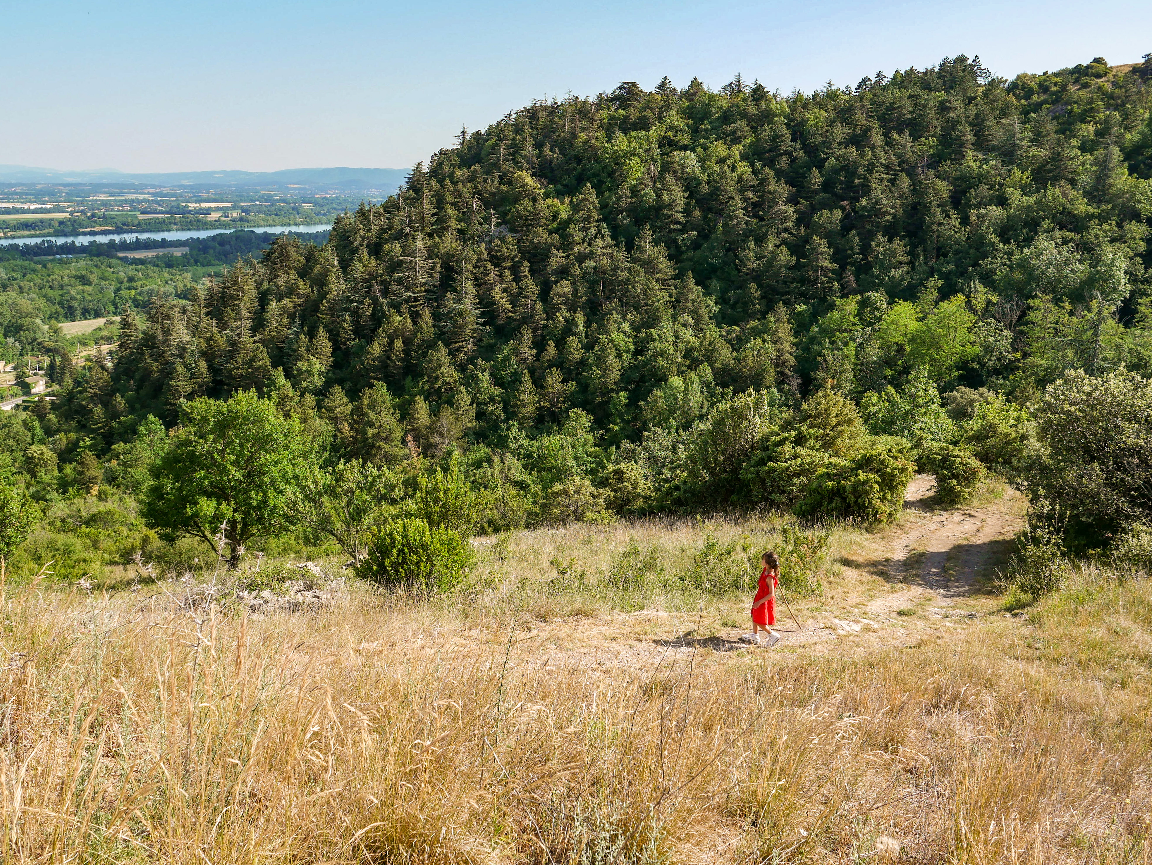 Balades découverte de la nature "Les Mystères de la Forêt"