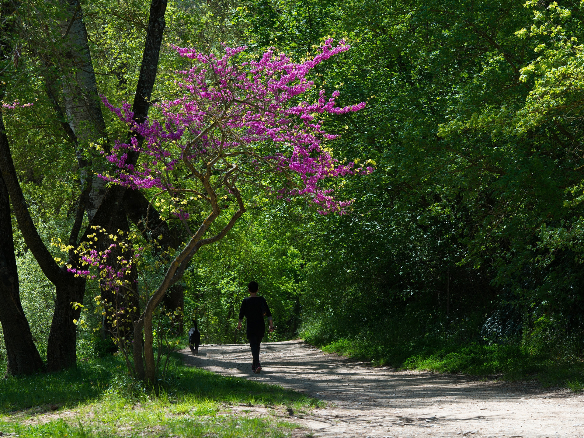 Parc Christine Bernard - Promenade de l'Arc - photo 2