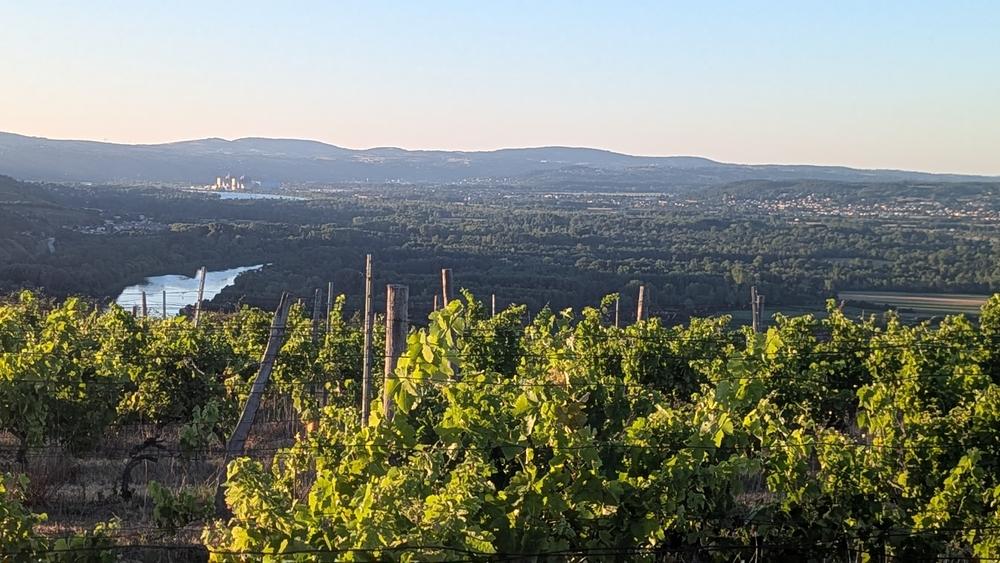 Apéro sunset dans les vignes - Domaines d'Aniello et Vallet_Félines