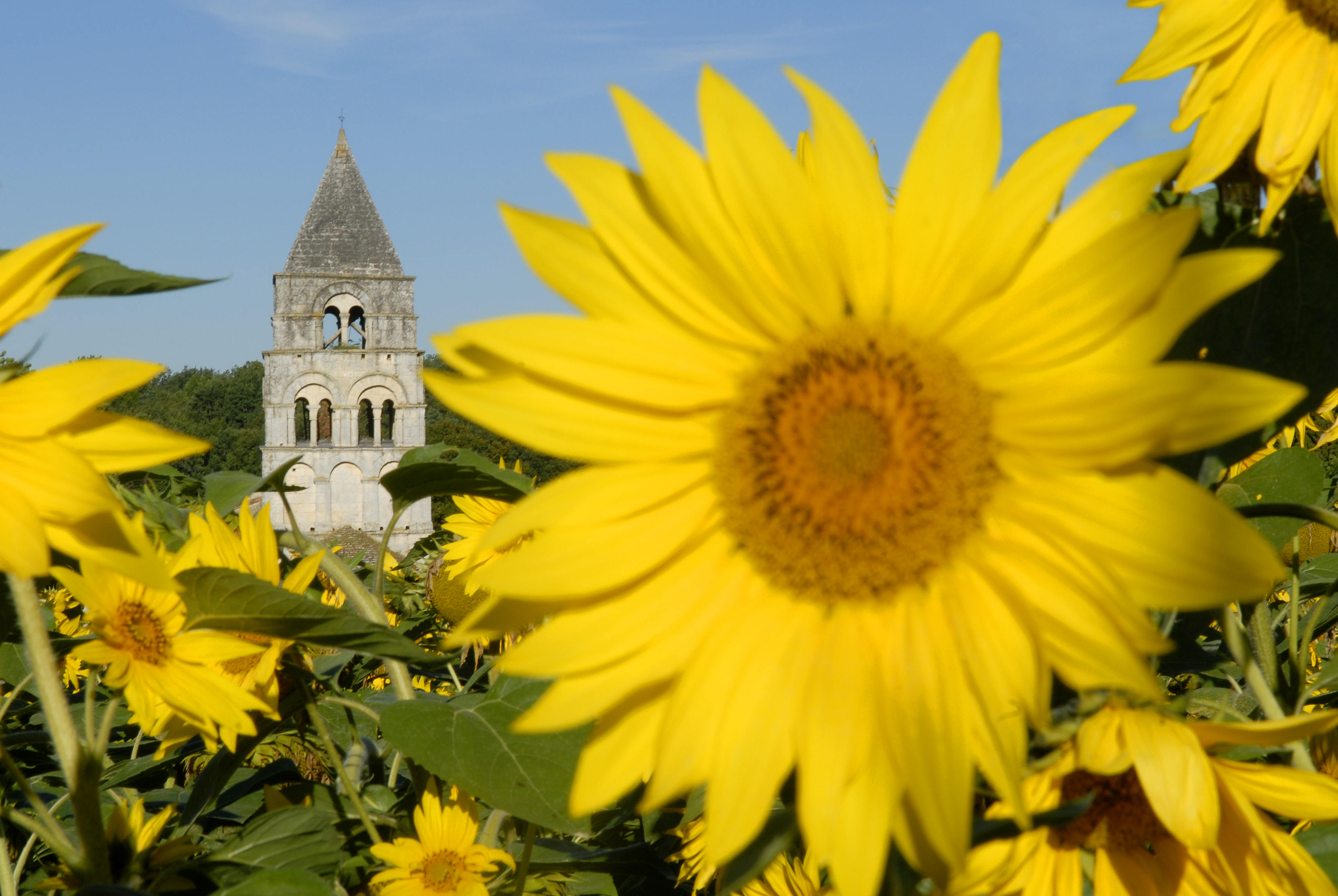 Boucle vélo route Gardes le Pontaroux  - Circuit famille 54A