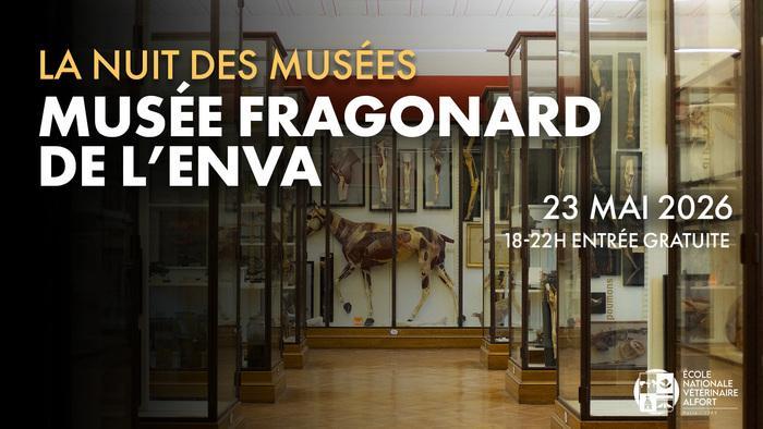 Nuit européenne des musées 2026 : Visite libre du Musée Fragonard de l'École nationale vétérinaire d'Alfort 