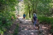 Péreyres - Ray Pic - marches sur le sentier vers la cascade ©sourcesetvolcans