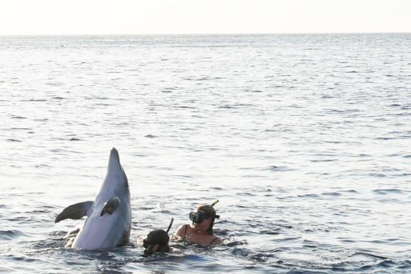 Catamaran dans la baie de Marseille. Départ l'Estaque