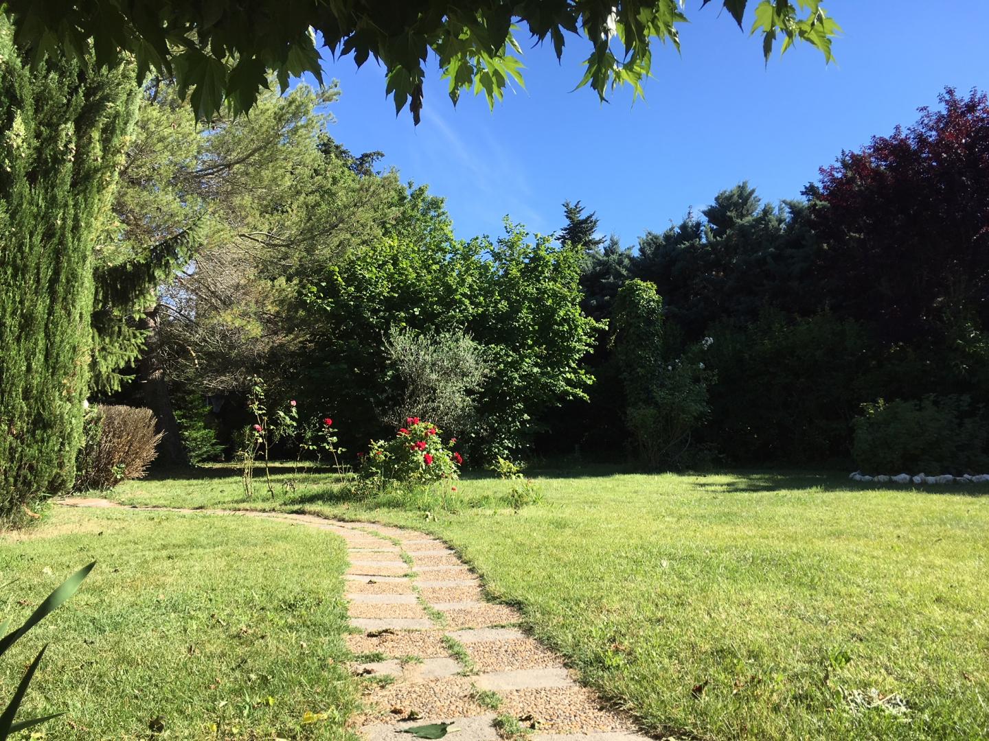 Mas de l'Avani, Plan-d'Orgon - photo 32