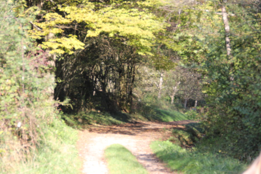 Grotte de la Roche - Salavre