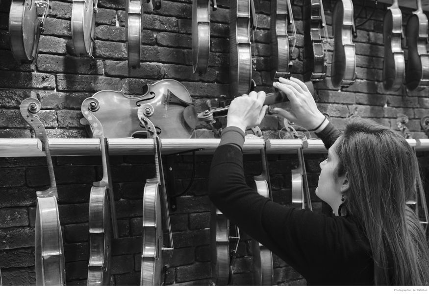 Violons présentés dans l'atelier