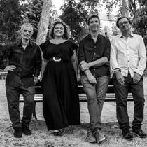 Concert Magnetic Orchestra_Chatte