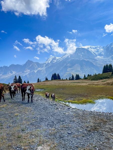 Le Tour de la Tête de Charme au départ du col de Voza