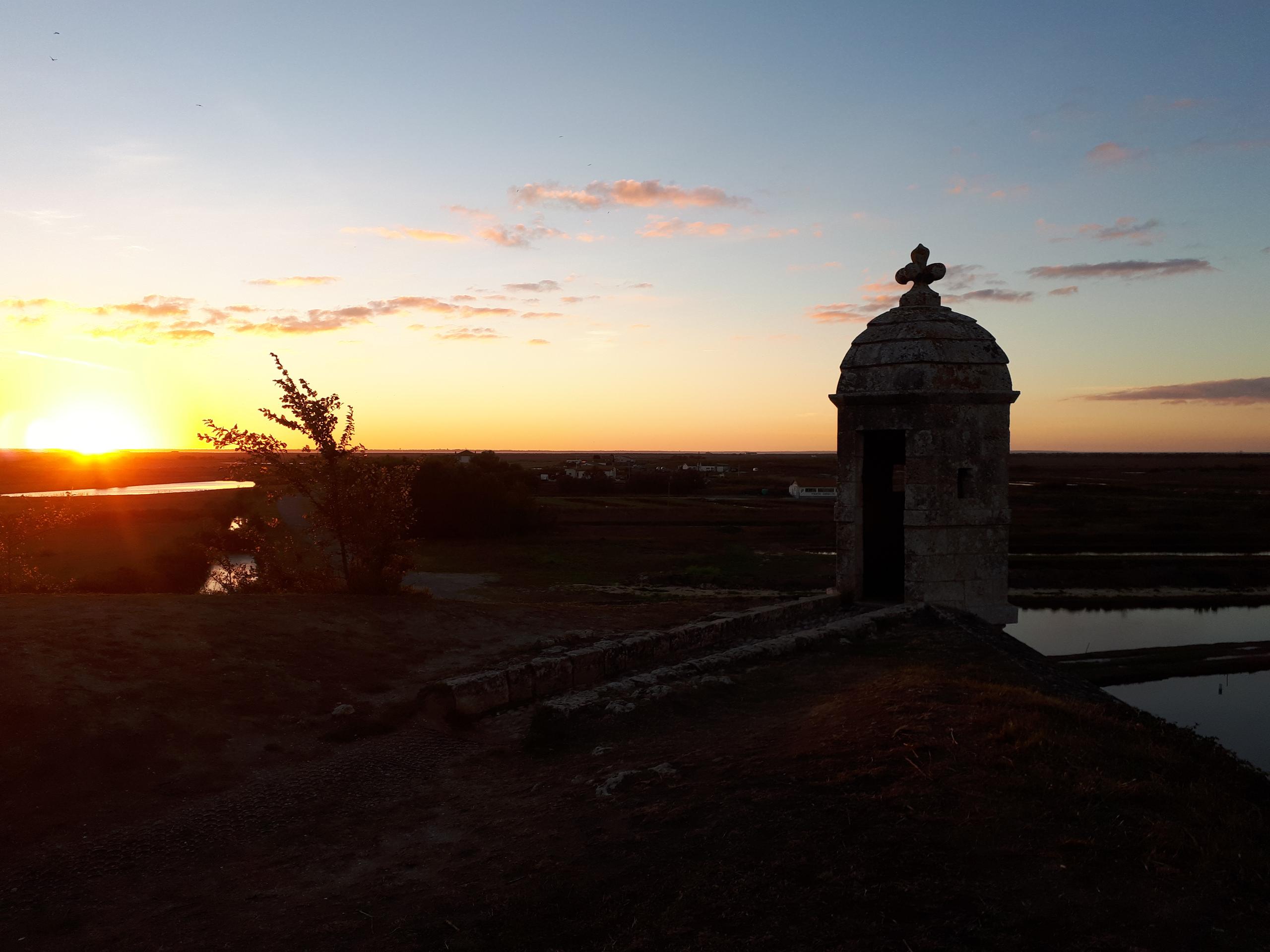 Sortie crépusculaire: à l'écoute de la faune du marais de Brouage!