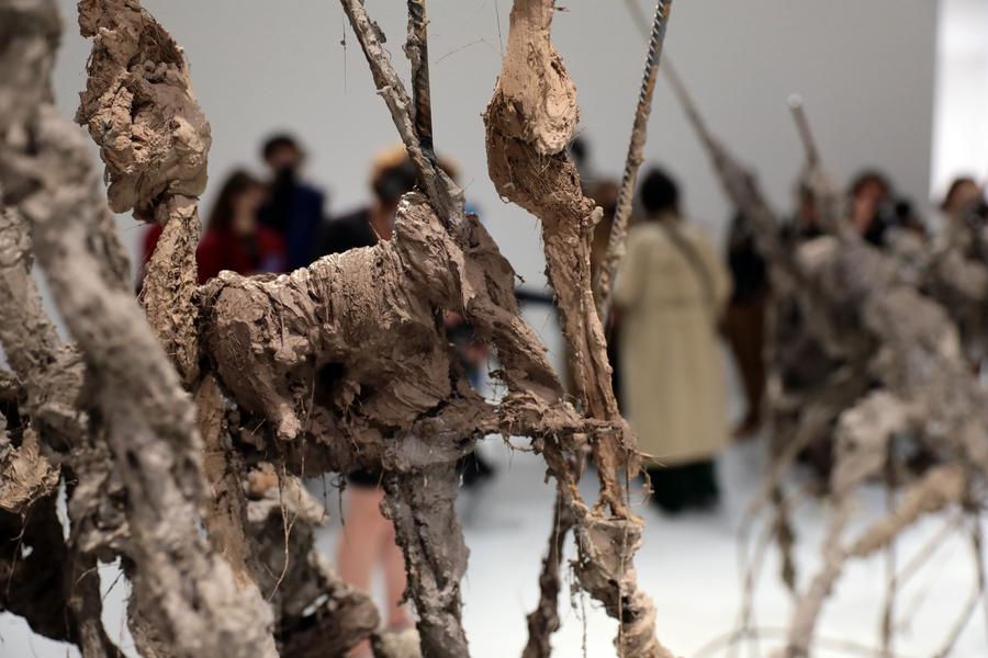 Vue de l'exposition de Lionel Sabatté "Éclosion" au MAMC+, 2021.