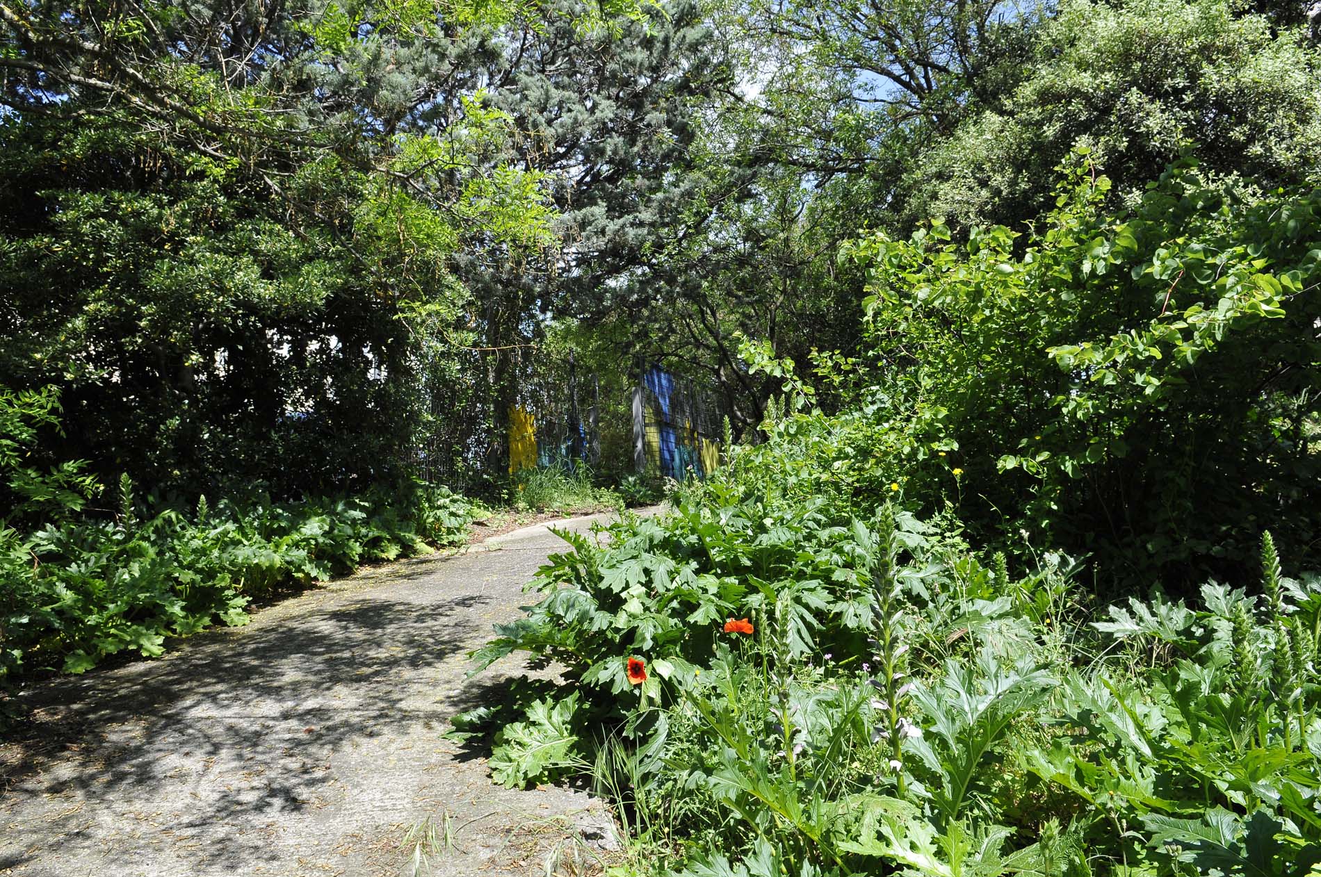 Jardin de la Solitude - Ville de Marseille