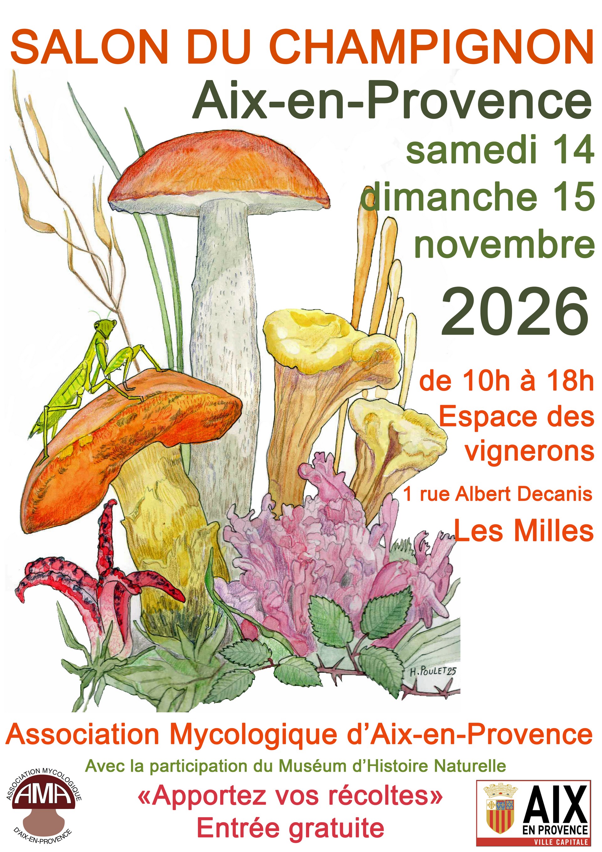 Salon du champignon