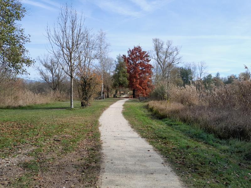 Espace Naturel Sensible de la Save - Secteur des Étangs de la Serre_Arandon-Passins
