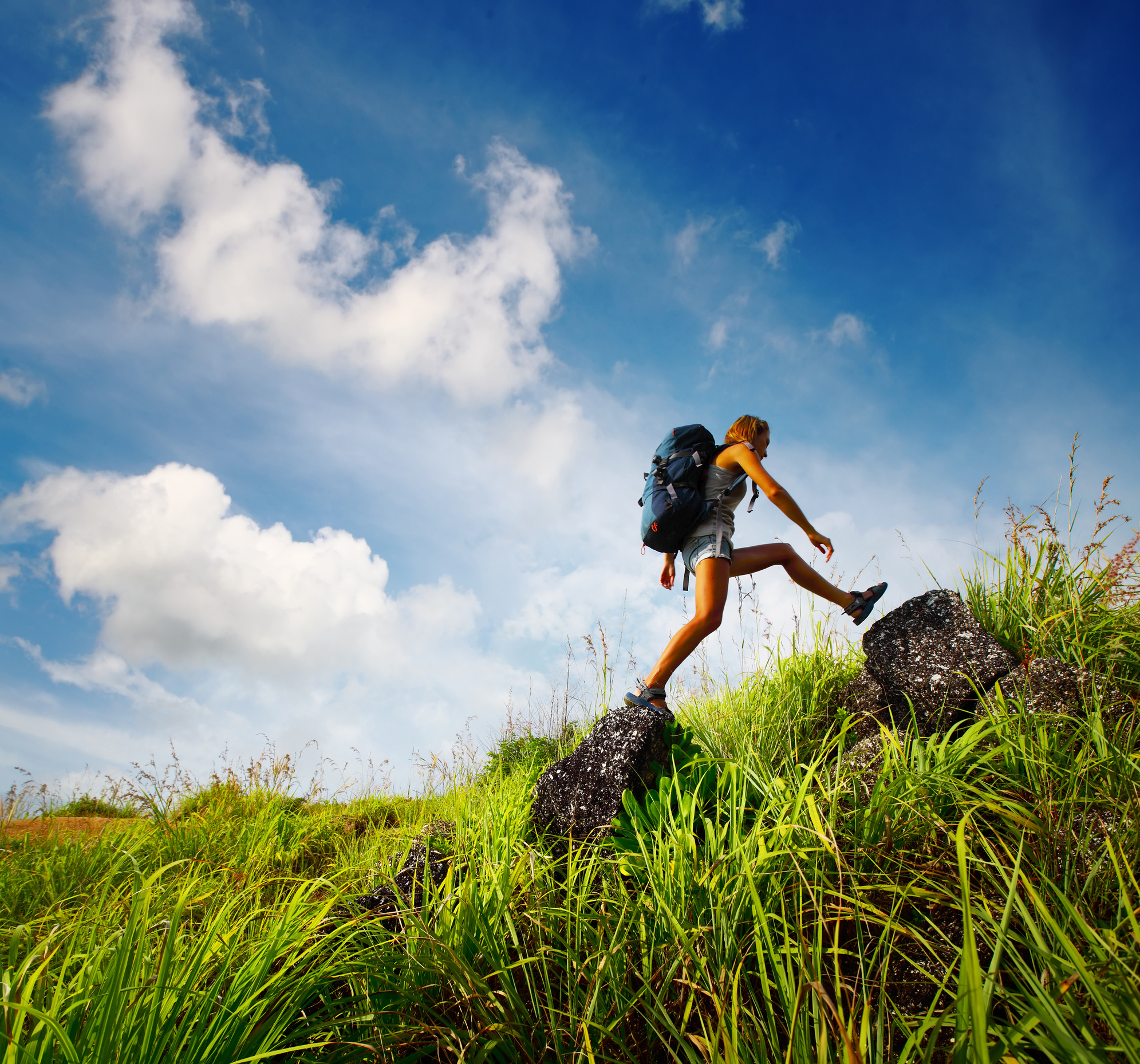 Sur le chemin de la ville durable