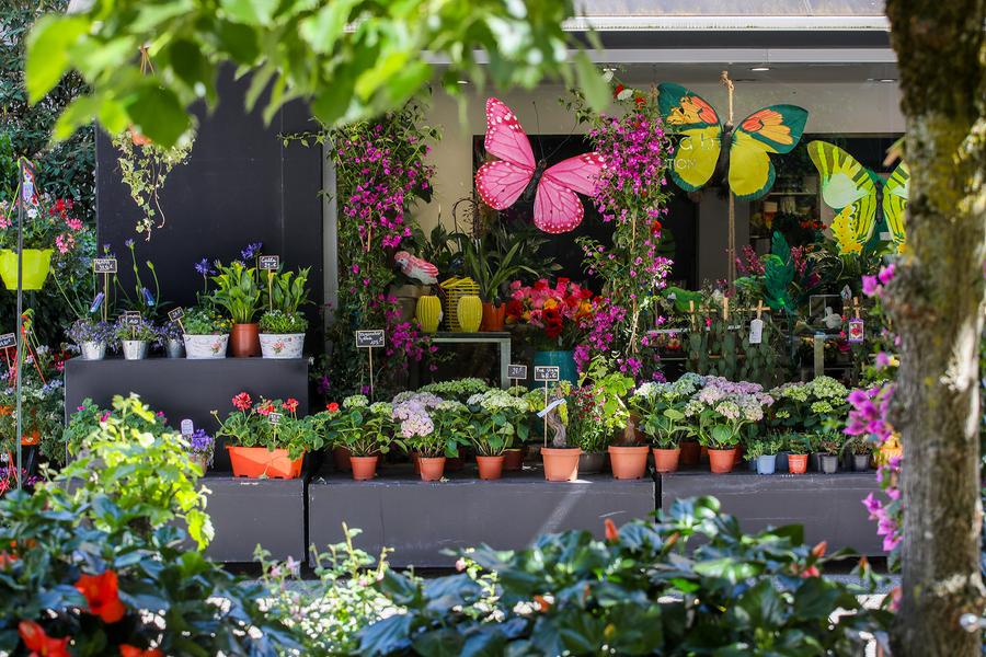 Azur Fleurs_Divonne-les-Bains