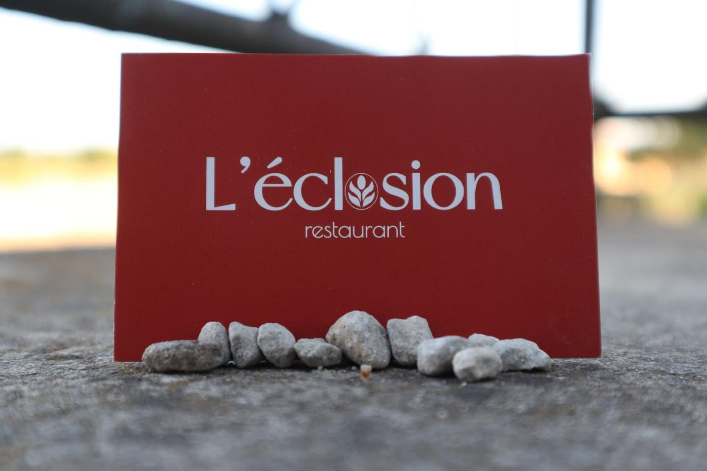 L'Eclosion