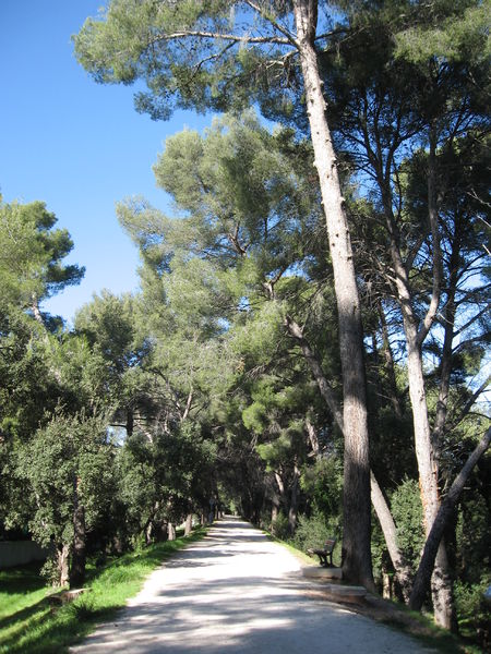 Promenade des Annamites