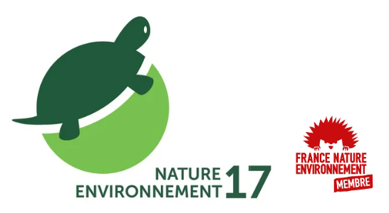 Soirée Jeux de société Arbres et insectes