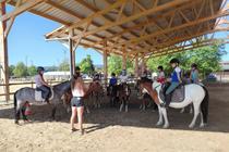 Stages équitation enfants