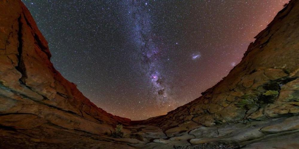 Projection - Dinosaures, une histoire de survie_Saint-Étienne