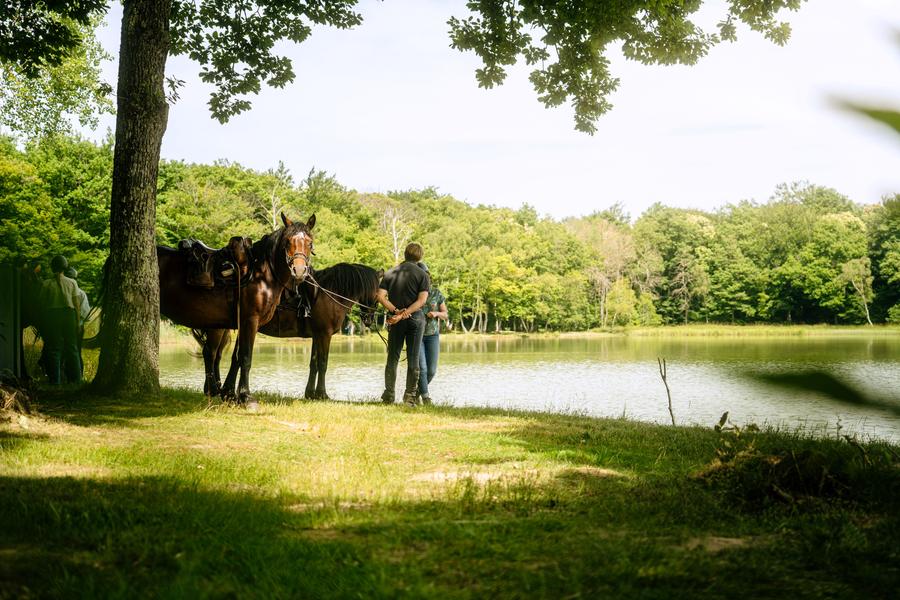 Les Chemins de Mandrin - Chambaran