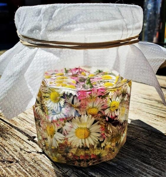 Atelier Plantes médicinales - Festival du Film Nature_Saint-Gervais-les-Bains