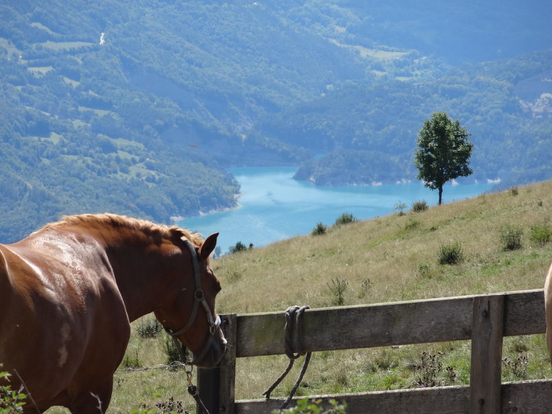 Cavalcades Pèlerines