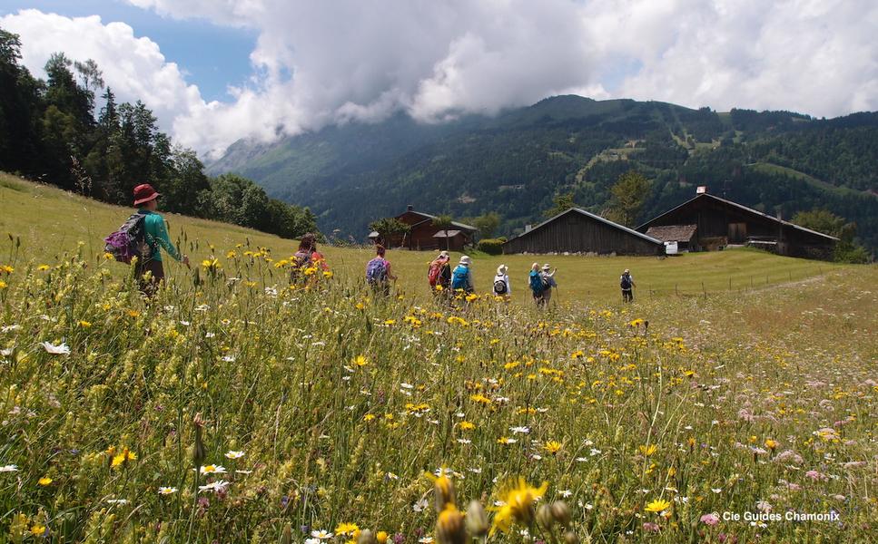 Tour du Mont Blanc - Cie des Guides