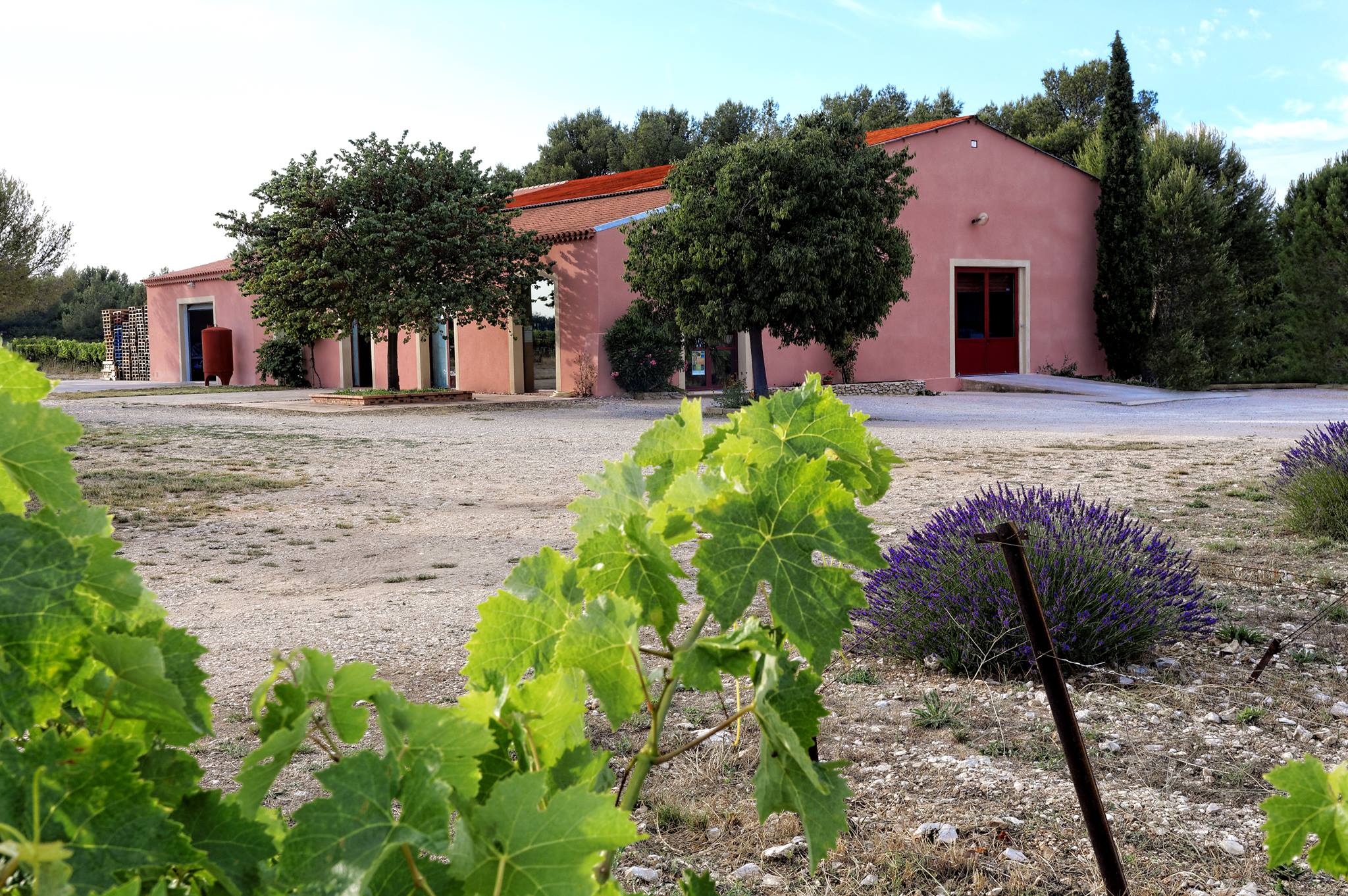 Domaine de Camaïssette — photo 2