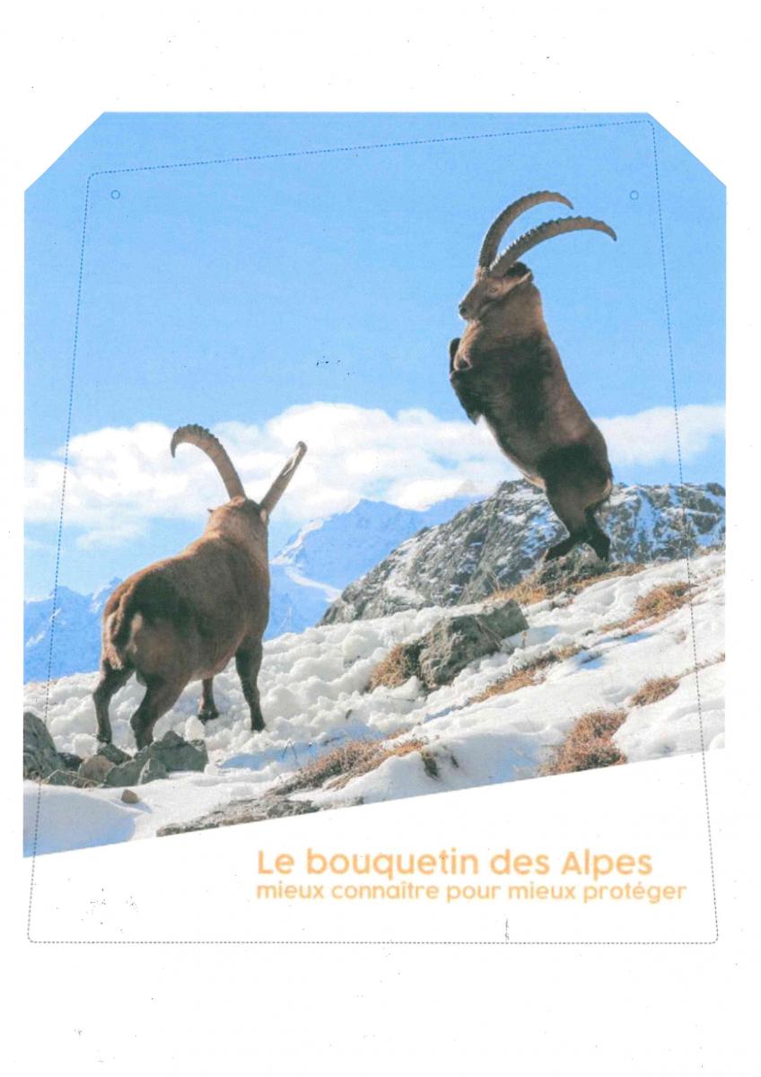 Exposition : Le bouquetin des Alpes, mieux connaître pour mieux protéger