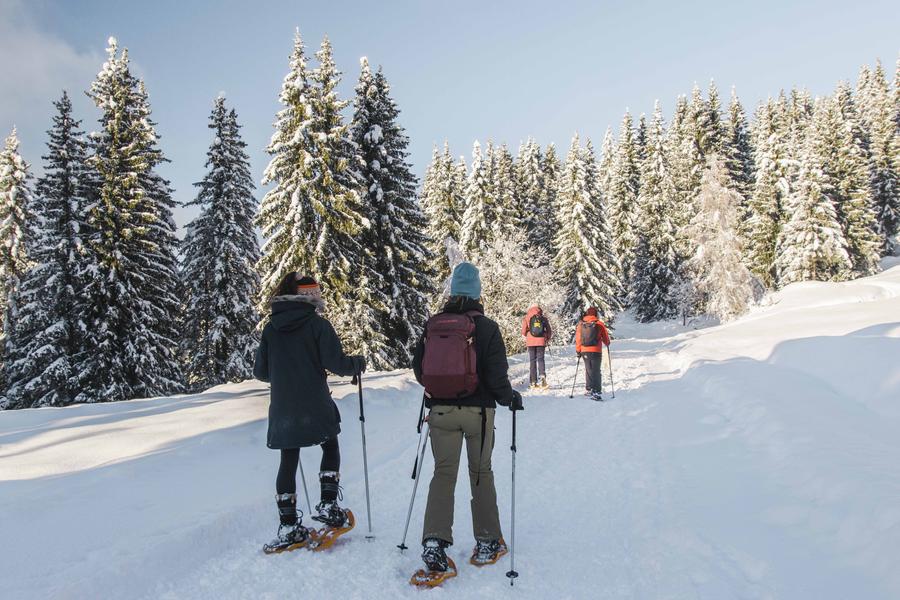 Image 2022_12_20_LesGets_raquettes_neige_fraiche_chavannes_amis_76_cpCorentinCroisonnier_LD