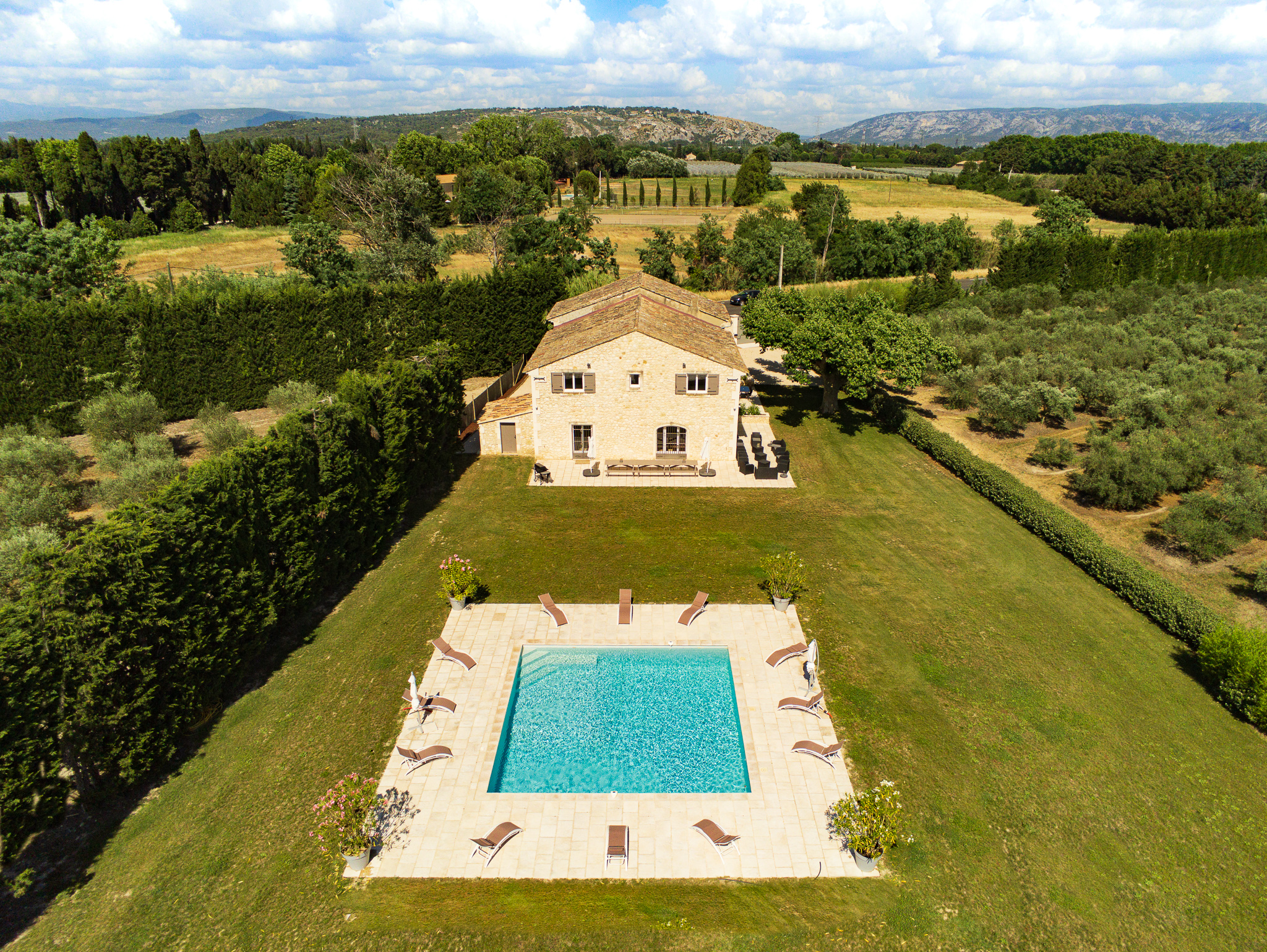 Sous les Oliviers, Plan-d'Orgon - photo 3