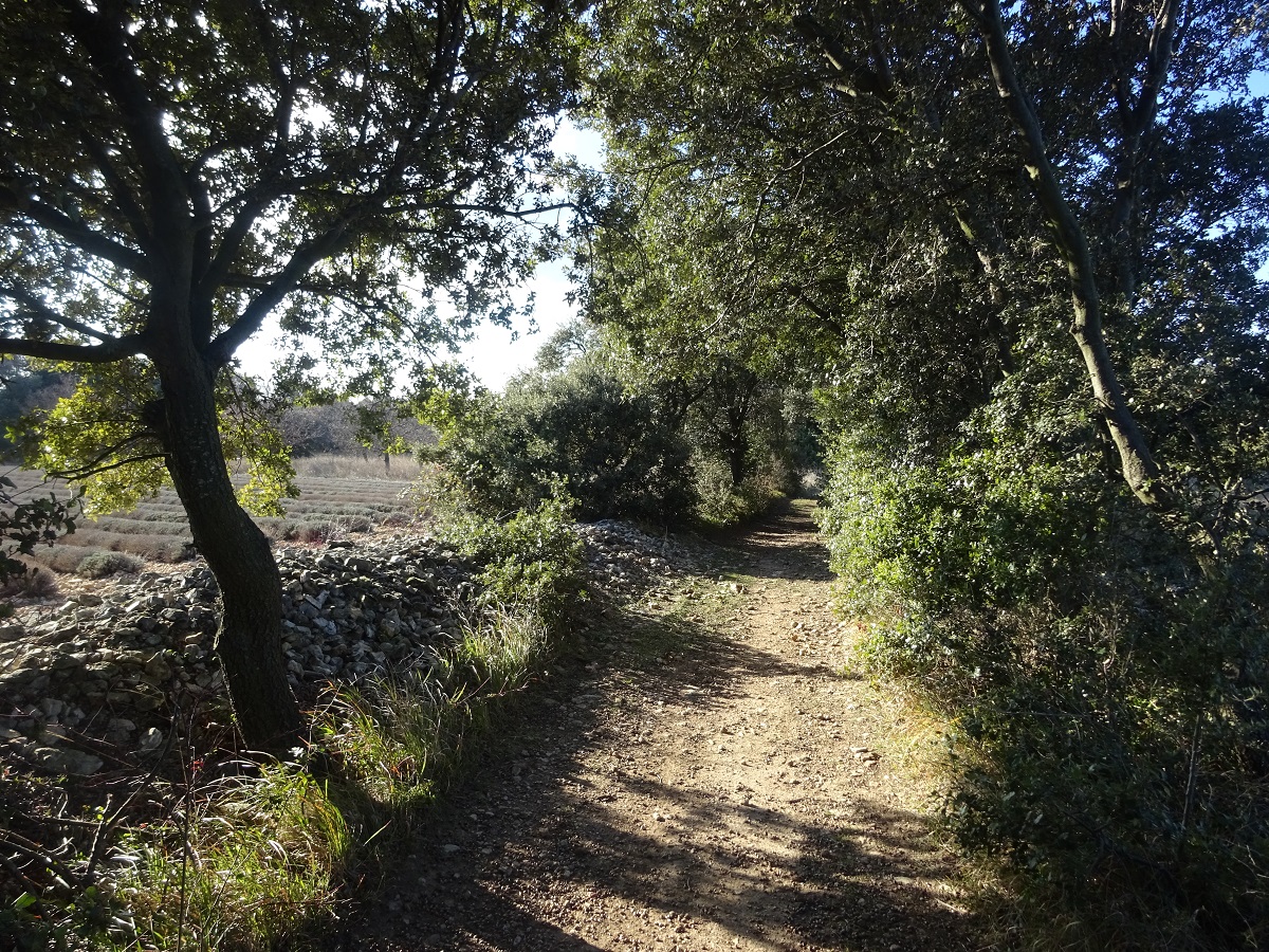 Entre Bois et Ravins