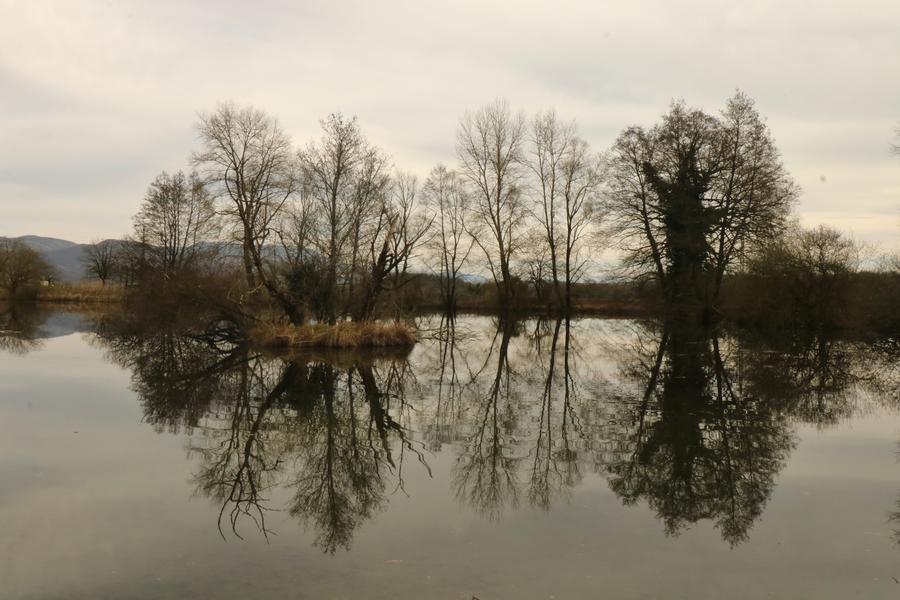 Espace Naturel Sensible de Bouvesse-Quirieu – Site des étangs Cotte_Bouvesse-Quirieu