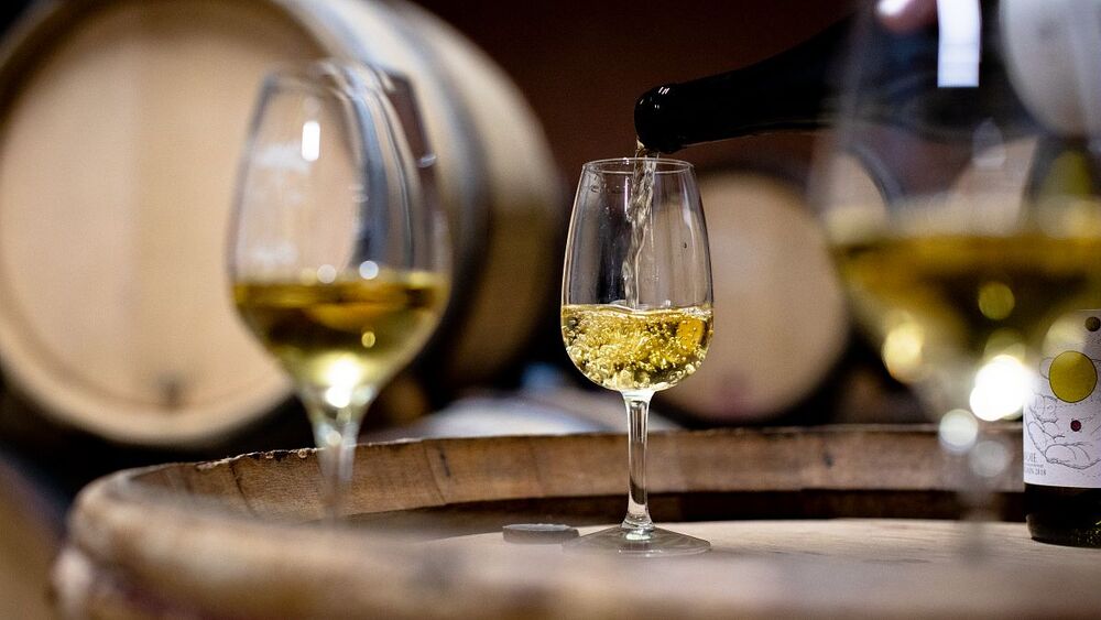 Dégustation de vins