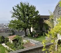 arbreapalabre