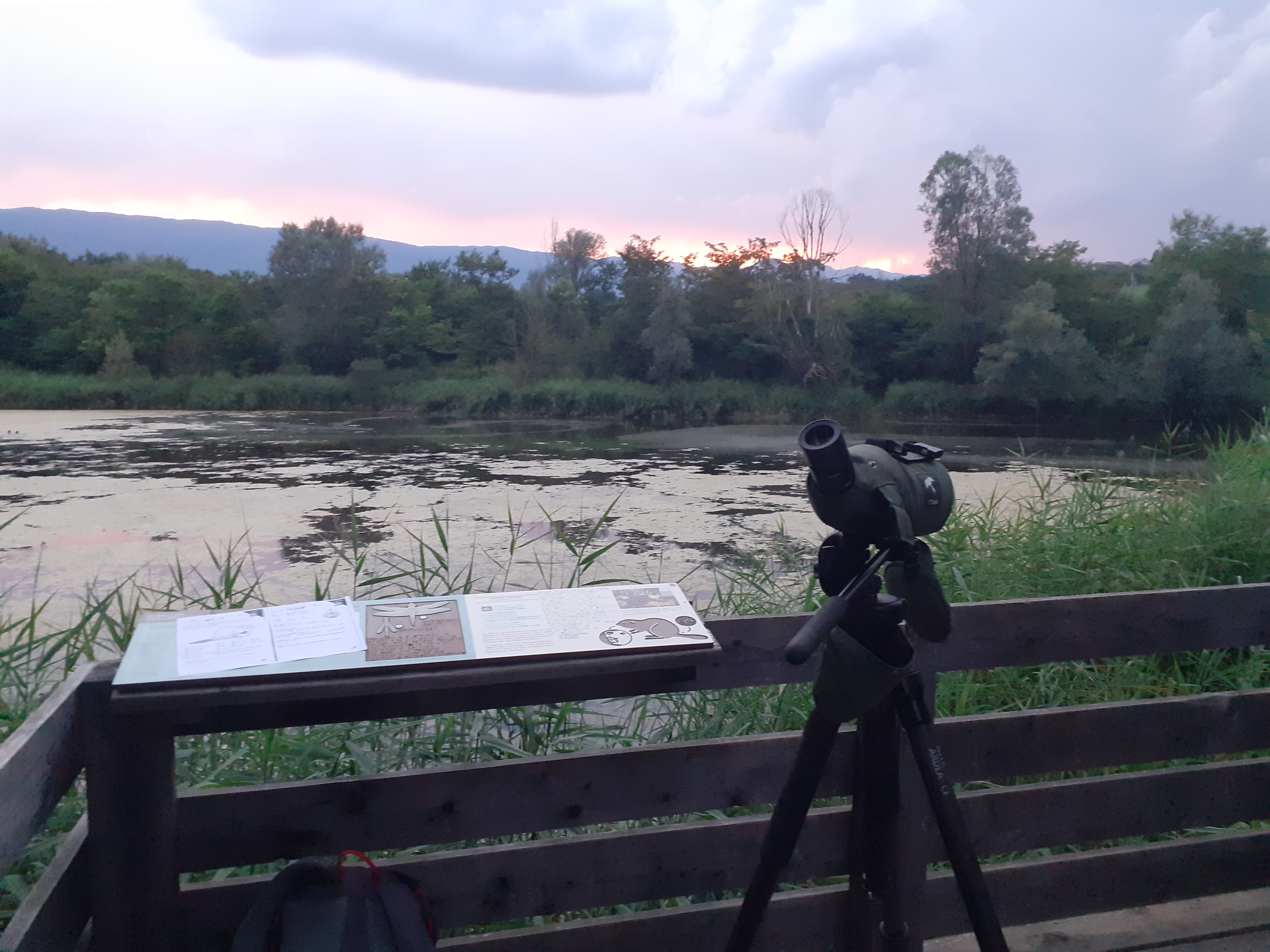 Animation nature: A la rencontre du Castor_Pougny