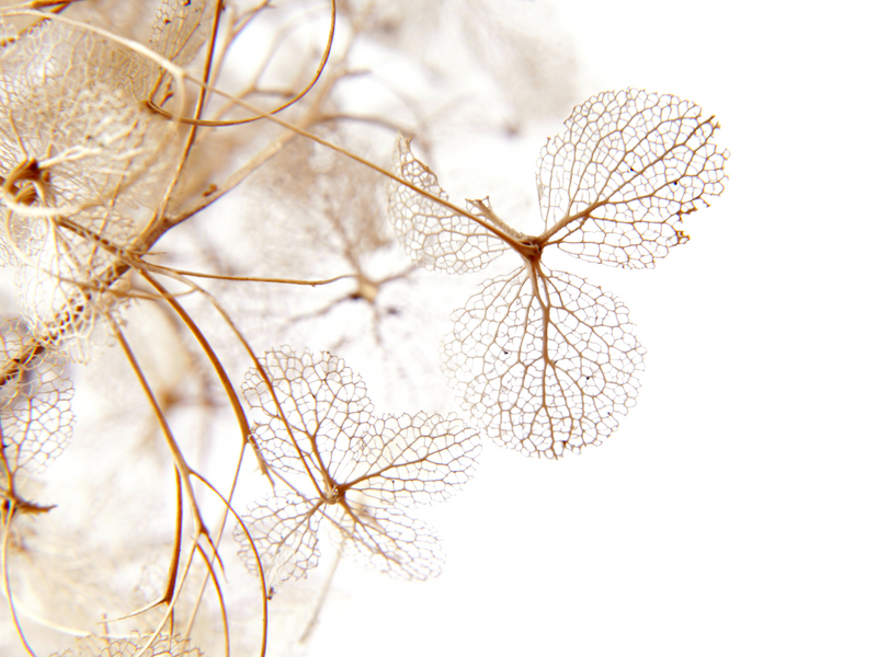 Exposition Matière Sensible UGA