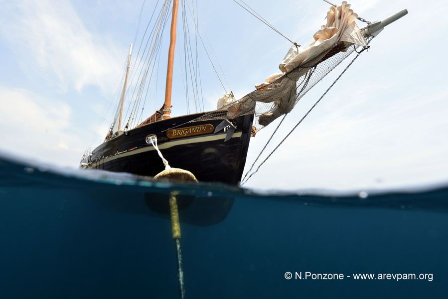 Le Le Brigantin- Espace Mer- Espace Mer