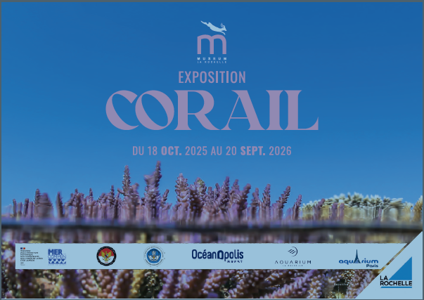 Exposition - Corail
