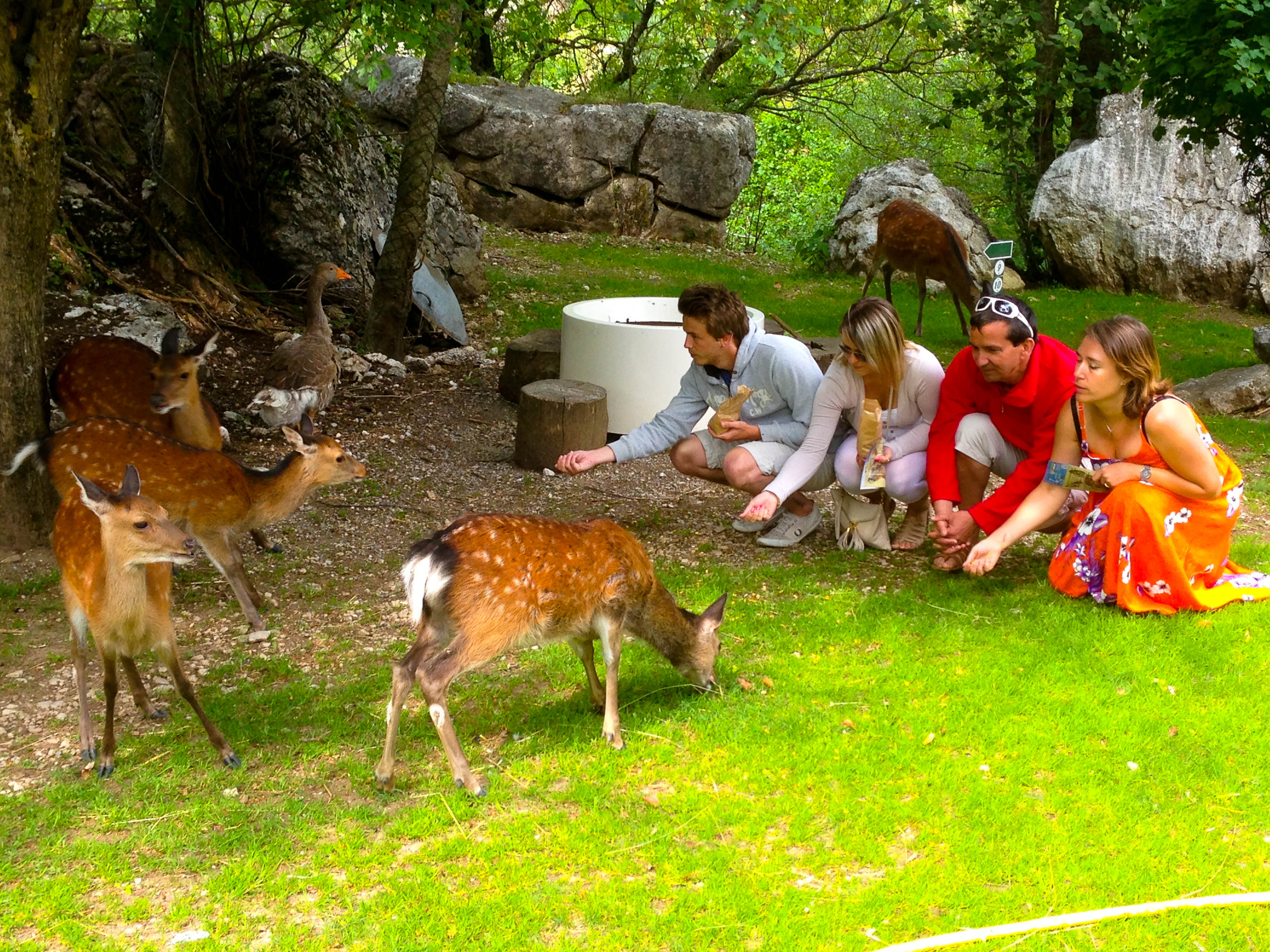 Parc animalier La Vallée Sauvage