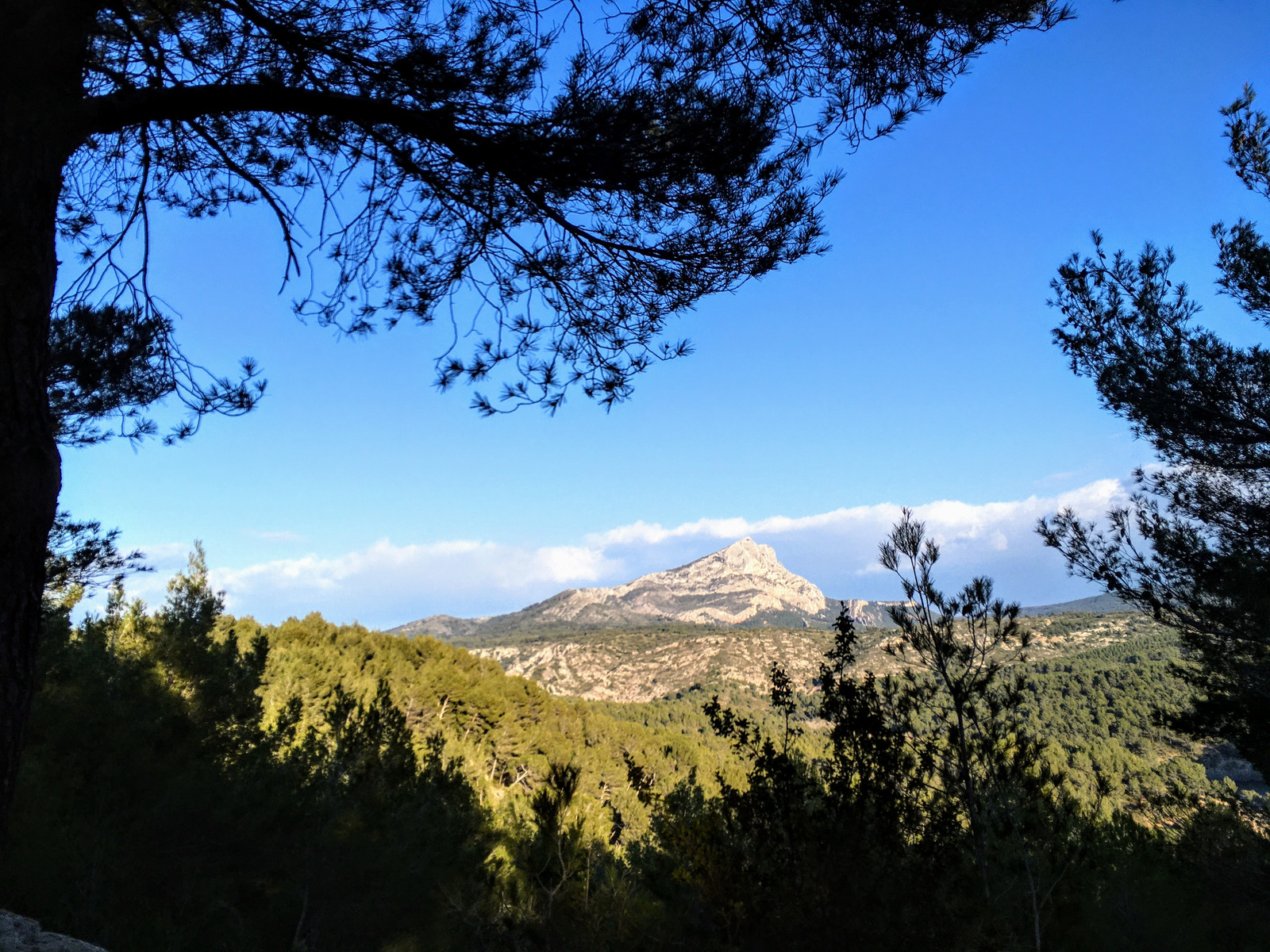 Sens de visites — photo 3